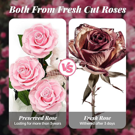 Flowers Forever Roses in A Box, 3 Real Roses with Stems and Bear, Eternal Rose Gifts for Her,Birthday Gifts for Women, Mom,Girlfriend,Grandma,Daughter,Pink