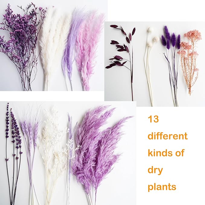 Natural Dried Pampas Prairie Bouquet, 17 "Natural Dried Bouquet, Purple Pampas and Millet Flower Mixed Bouquet Bohemian Style Family Wedding Dried Flower Decoration