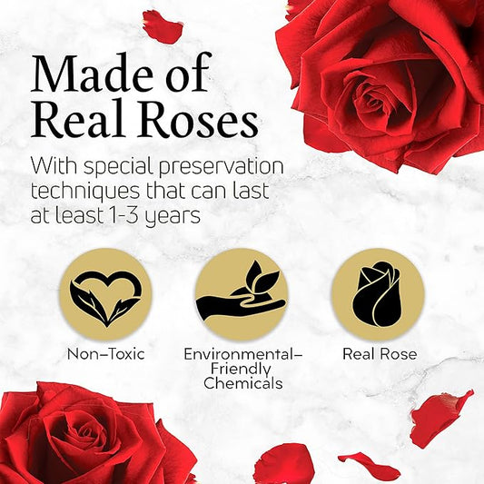 GLAMOUR BOUTIQUE Eternal Preserved Roses in a Box - Flowers Forever, Rose Forever in a Box for Wife, Birthday Gifts for Her, 19 Roses, Red
