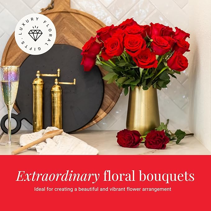 BloomsyBox - Red Roses - 24 Long Stems, Long Lasting, Hand-Tied in Eco-friendly, Vase Not Included, Fresh Flowers for Delivery – Gift for Birthday, Anniversary, Get Well, Congratulations, Wedding