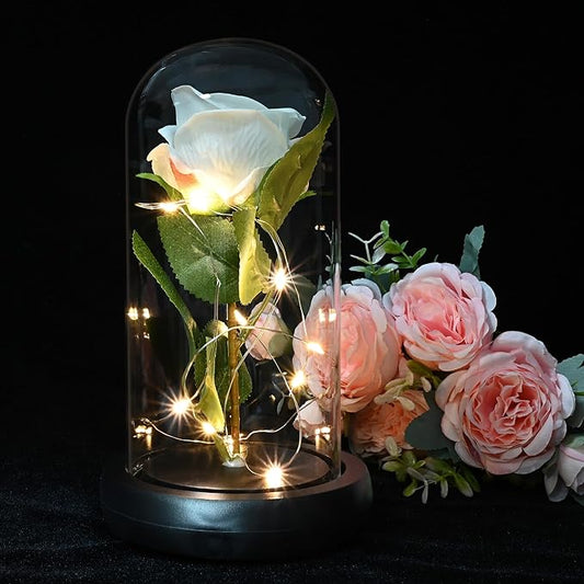 QUELIEN White Roses in Glass Dome,Eternal Rose Gift for Women,Lasts Forever Home Decor,Mother's Day Christmas (White)