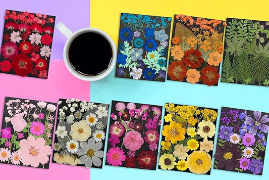 285Pcs 9 Packs Mixed Types Real Natural Dried Pressed Flowers & Leaves for Resin Molds, DIY Crafts, Jewelry Making + 100Pcs Butterfly Stickers + Tweezers