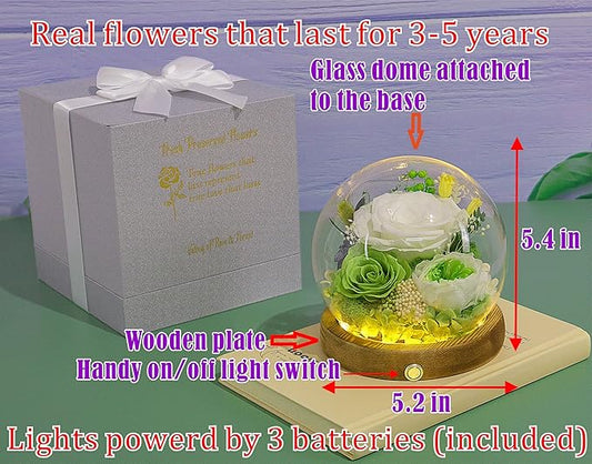 Valley of Rain & Forest Long-Lasting Real Flowers, Unique Floral Gift For you to send Love for All Occasions, for Indoor Decoration (White & Green Roses Arrangement)