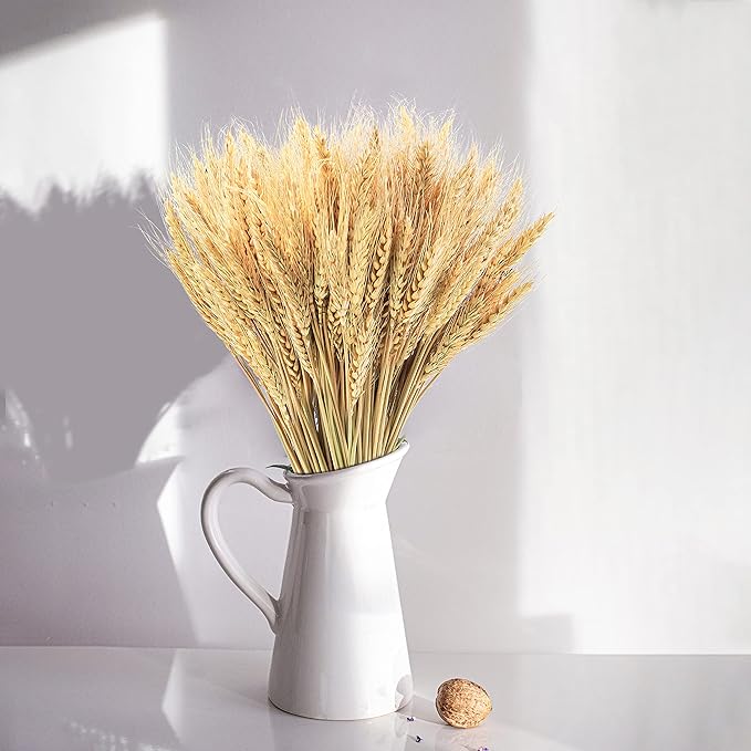 Uieke 17.7 Inches Dried Wheat Stalks, 300 Stems Dried Flowers 100% Natural Wheat for Home Kitchen Wedding Party Table Centerpiece Harvest Wreath Boho Farmhouse DIY Fall Decor