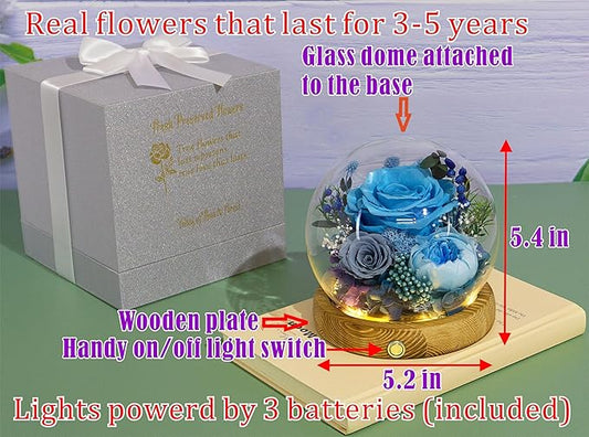 Valley of Rain & Forest Long-Lasting Real Flowers, Unique Floral Gift For you to send Love for All Occasions, for Indoor Decoration (Blue Rose, Grey & White-Blue Austin Roses)
