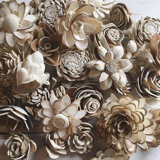 Sola Wood Flower Bark Assortment