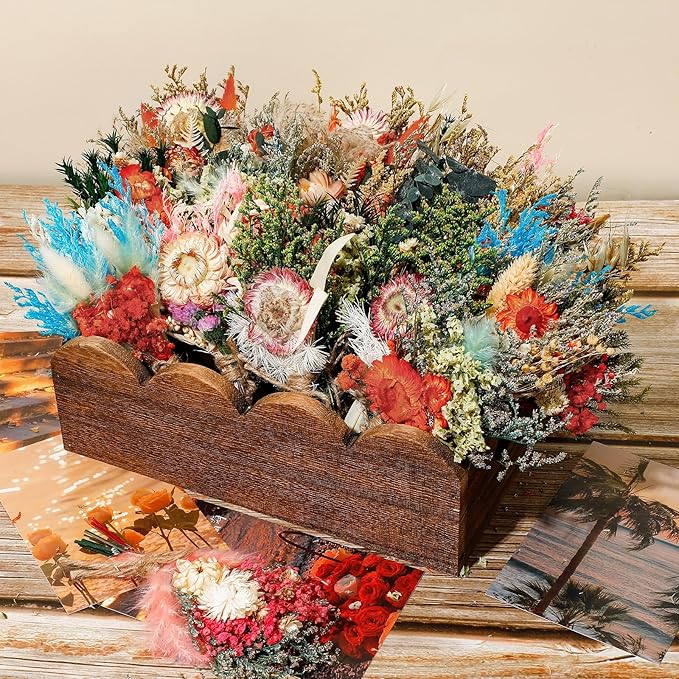 Layhit 24 Pcs Boho Dried Flower Bouquet Mini Wedding Handmade Dry Flowers Decor for Vase Crafts DIY Photo Boutonniere for Men Floral Plant for Bridesmaid Gift Birthday Decor (Gerbera Daisy)