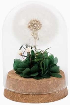 JoyFlower Mini Preserved Dandelion in Glass Dome, Real Dandelion Eternal Flowers Gifts for Women, Preserved Flower Friendship Gifts for Girlfriend Best Friend Sisters Daughter Birthday Graduation Gift