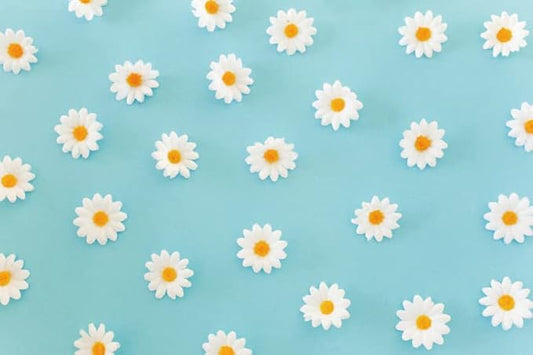 Daisy Flower Backdrop for Photography White Floral Blue Photo Background Baby Shower Birthday Party Decorations Cake Table Banner Girls Children Portrait Photoshoot Studio Props 9x6ft Vinyl
