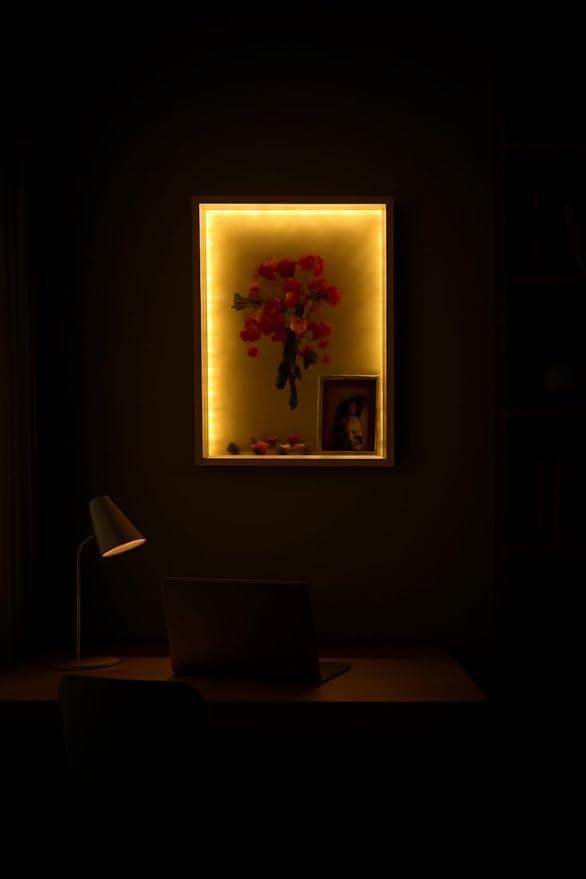 Shadow Box with LED Light for Dried Flowers, Changeable Picture Display & Storage, Frame Wall-mounted & Tabletop Art Display Shadow Box Frame (Light Red)