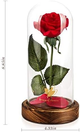Christmas Day Rose Gifts for Her,Beauty and The Beast Rose in Glass Dome Lasts Forever Red Rose with LED Lights,Gifts for Women Mom Wife,Anniversary,Thanksgiving Gifts,Wedding Home Decor