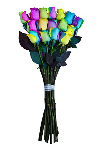 Fresh Rainbow Roses Bouquet by Flower Explosion - 36 Premium Stems