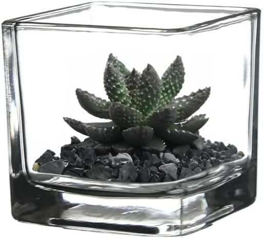 WGV 3 Inch Clear Square Cube Glass Votive Candle Holder Vase Bulk, Small Tiny Mercury Tea Light Terrarium Décor 3x3”, 24 Pieces