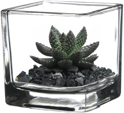 WGV 3 Inch Clear Square Cube Glass Votive Candle Holder Vase Bulk, Small Tiny Mercury Tea Light Terrarium Décor 3x3”, 24 Pieces