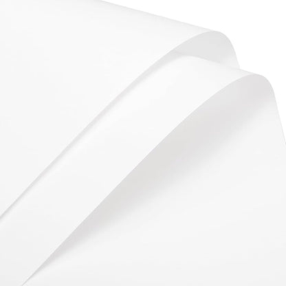 MECCANIXITY Pearlescent Film Flower Wrapping Paper 22.8x22.8 Inch Waterproof for DIY Crafts, Gift/Gift Box Packaging Cream White Pack of 10