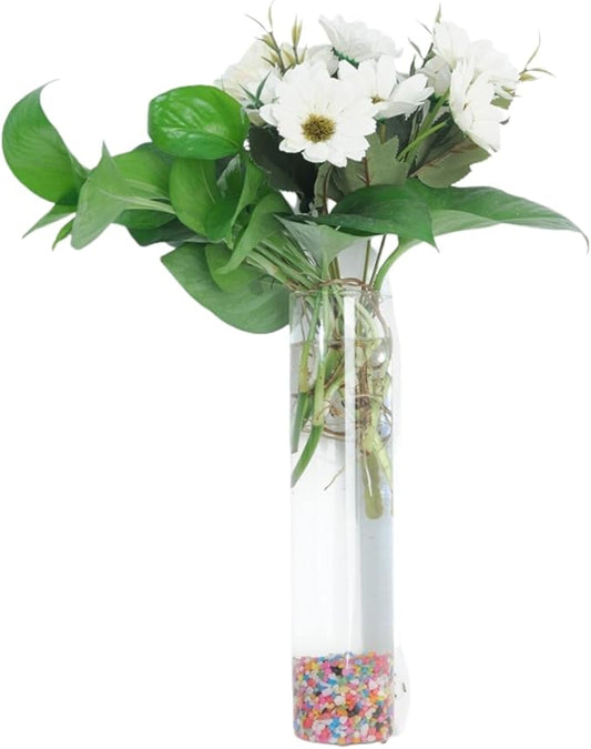 Wall-Mounted Acrylic Planter for Hydroponic Plants – Pipe Vase, Modern Transparent Design for Home & Office Decoration