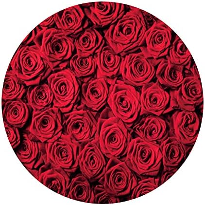 Renaiss 7.5x7.5ft Red Rose Round Backdrop Covers for Photoshoot Girls Women Portrait Crimson Flowers Flowerbed Photography Background Wedding Bridal Baby Shower Birthday Party Decor Photo Booth Prop