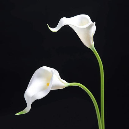 DuHouse 20Pcs Artificial Calla Lily Flower Real Touch Latex Flowers for DIY Wedding Bouquet Party Home Decor (White-Yellow Core)