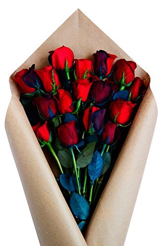 36 Stems - Fresh Cut Black and Red Roses from Flower Explosion