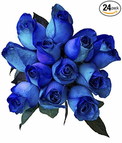 24 Stems - Fresh Cut Blue Lollipop Roses from Flower Explosion