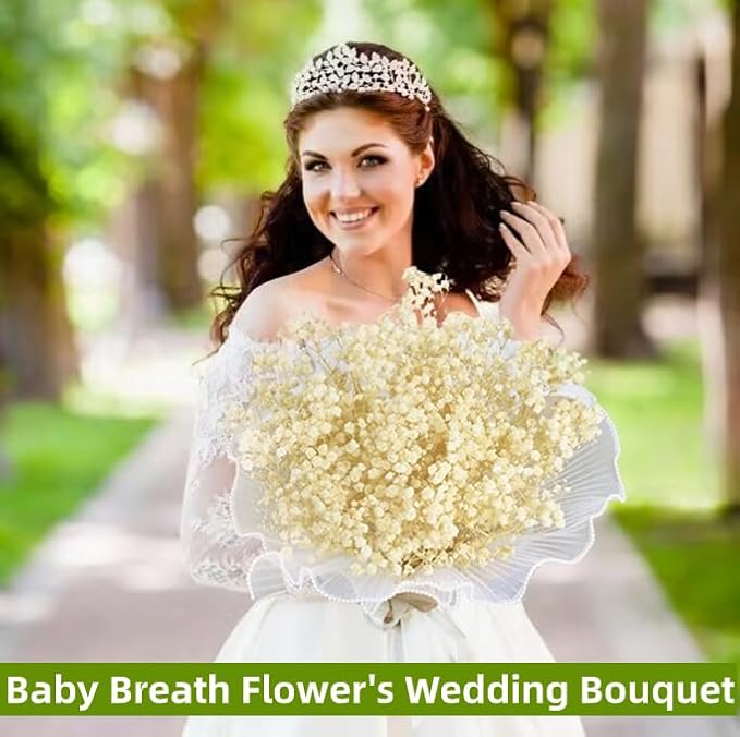 2500+ Dried Babys Breath Flowers Bulk - 17" Ivory White Dried Flower Bouquet, Real Natural Gypsophila Branches for Vase Filler, Wedding, Table Centerpiece, Home Decor, DIY Wreath Floral, Crafts