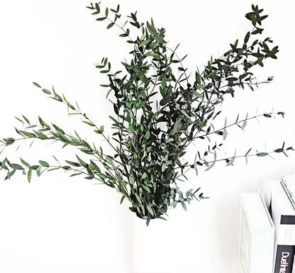 Dried Eucalyptus Leaves Preserved Greenery Stems, 8-14 PCS Eucalyptus Garland Branches, 4 OZ Green Leaves Plant Bundle for Wedding Wreath Party Home Decor Vase Filler