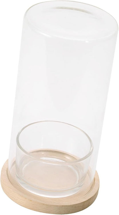 Desktop Hydroponic Ecosystem Bottle Plant Glass Bottle Pots for Office Decors Air Purifications with Glass and Wood Base