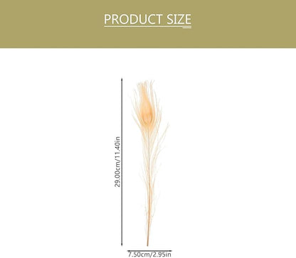Artibetter 5Pcs Natural White Iridescent Plumes for DIY Crafts Wedding Party Decor Sterilized Plumage Accessories for Home Decoration Costume Floral Arrangements and Hair Accessories