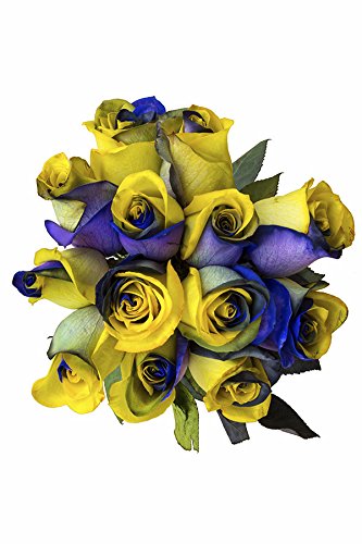 24 Stems - Fresh Cut Yellow & Purple Roses from Flower Explosion