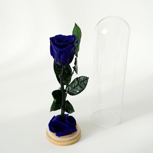 9.8 inches Preserved Rose in Glass Dome Rose with Green Leaves Eternal Love and Natural Beauty for Grandma Mom Girlfriend Classmate Friend Lover (Royal Blue)
