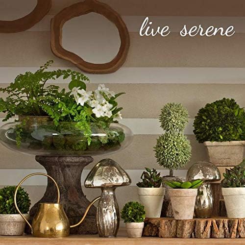 Serene Spaces Living Gold Handi Bowl - Hammered Texture, Decor for Living Rooms, Entryways, Restaurants, Indian Wedding, Table Centerpiece - Aluminum, 4.5" Tall & 12" Diameter