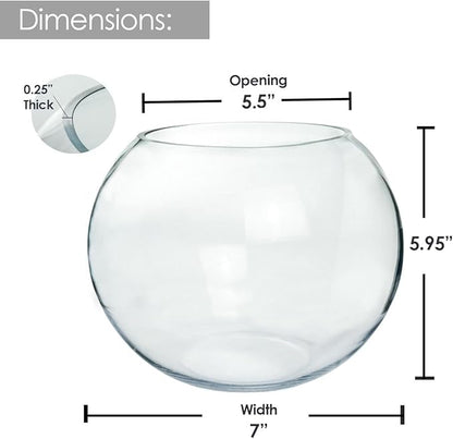 Craft And Party, Glass Bubble, 6" Height x 8" Width Glass Fish Bowl Vase, Bubble Bowl vase for Terrarium, Flower vase Centerpiece