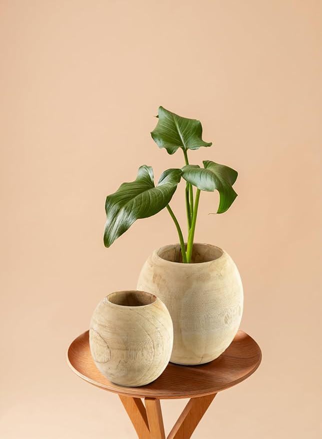 Serene Spaces Living Teak Essence Vase - Handcrafted Natural Wood Vase, Perfect for Artificial, Dried, and Fresh Flowers, Unique Rustic Decor Piece for Home or Office, Gift Idea (Small (Pack of 6))