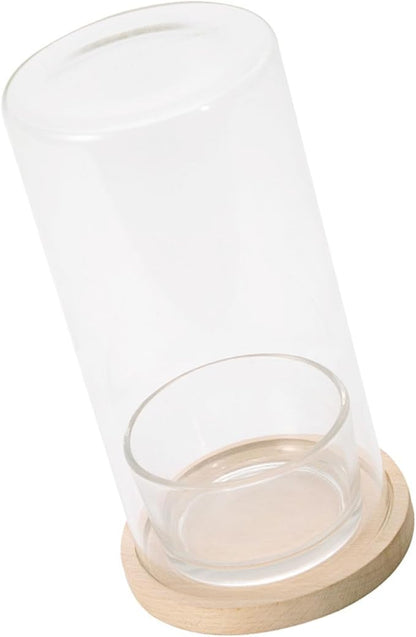 Desktop Hydroponic Ecosystem Bottle Plant Glass Bottle Pots for Office Decors Air Purifications with Glass and Wood Base