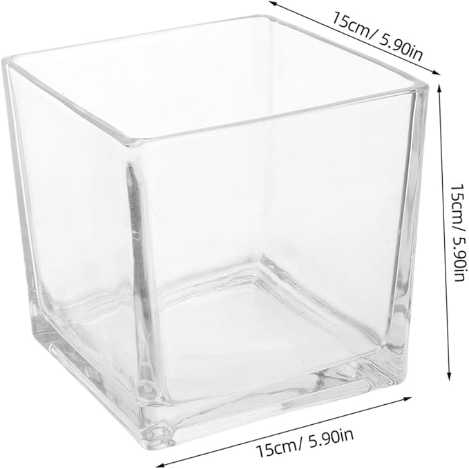 NUOBESTY Clear Thickened Square Glass Vase for Hydroponic Plants Modern Decorative Flower Container Smooth Touch Table Centerpiece for Home and Office
