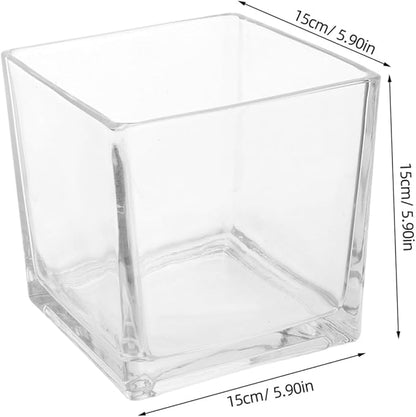 NUOBESTY Clear Thickened Square Glass Vase for Hydroponic Plants Modern Decorative Flower Container Smooth Touch Table Centerpiece for Home and Office
