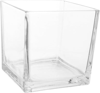 NUOBESTY Clear Thickened Square Glass Vase for Hydroponic Plants Modern Decorative Flower Container Smooth Touch Table Centerpiece for Home and Office