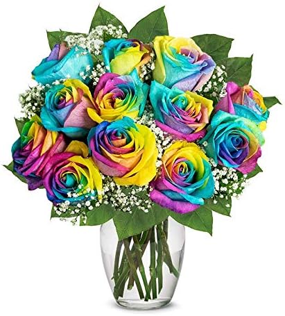 From You Flowers - One Dozen Wild Rainbow Roses with Glass Vase | Fresh Flower Bouquets for Birthday, Anniversary, Get Well or Celebration