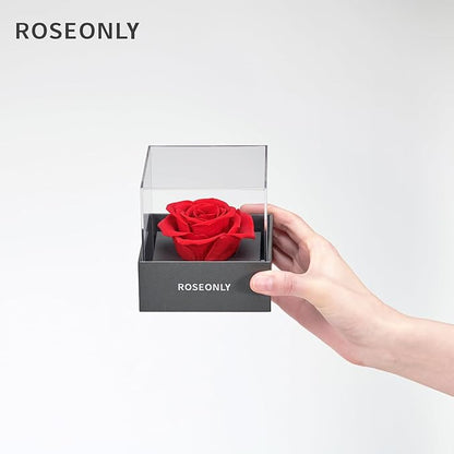 Preserved Rose Romantic Gifts for Wife Female Womens Real Red Roses Flowers for Valentine's Day Christmas Birthday Mother's Day Anniversary (Mini)