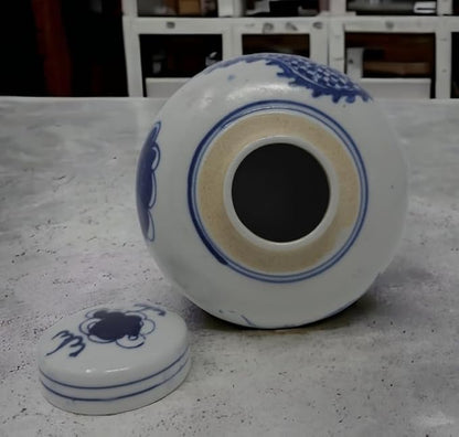 Festcool Retro Antique Like Style Blue and White Porcelain Dragon Ceramic Covered Jar Vase, China Ming Style, Jingdezhen (6.5 inches H)