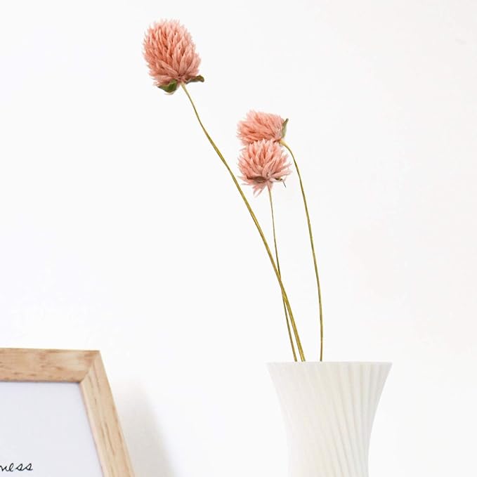Dried Flower White Globe Amaranth Dry Flower Bundles 100% Naturally for Home Decor Party (Pink)