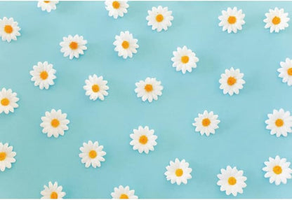 Daisy Flower Backdrop for Photography White Floral Blue Photo Background Baby Shower Birthday Party Decorations Cake Table Banner Girls Children Portrait Photoshoot Studio Props 7x5ft Vinyl
