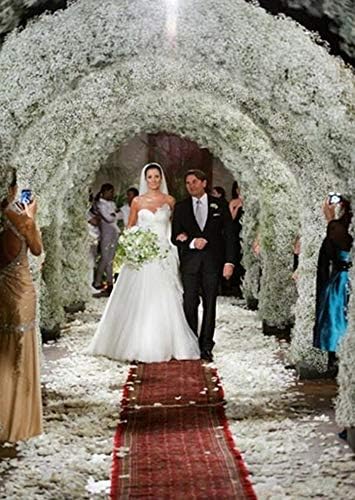 Bringsine Baby Breath Gypsophila Wedding Decoration Bride White Colour Pu Flowers 30 Pieces/lot