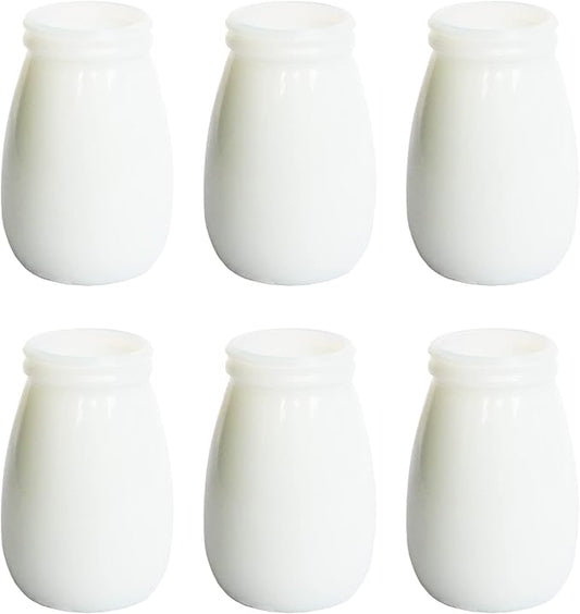 YANLING 6 Pack White Vase for Decor Ceramic Vase for Flowers, Small Bud Vases for Home Decor White Flower Vase, Boho Vases Dried Flowers Vases