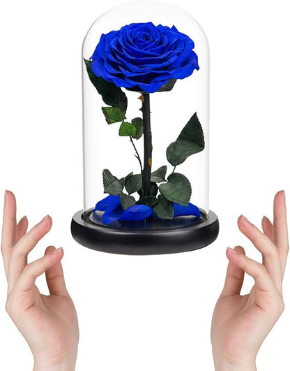 Preserved Roses Handmade Rose in Glass Dome, Preserved Flowers Never Withered Romantic Gifts for Her, Mother's Day, Birthday Gifts for Women (9 inch, Blue)