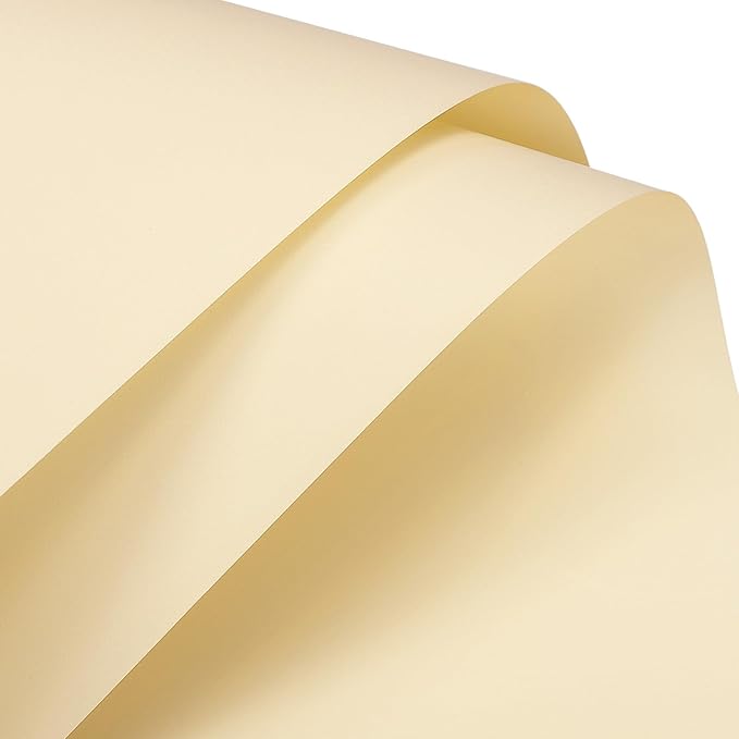 MECCANIXITY Pearlescent Film Flower Wrapping Paper 22.8x22.8 Inch Waterproof for DIY Crafts, Gift/Gift Box Packaging Cream Color Pack of 20