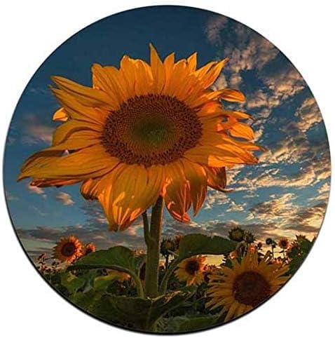 Sunflower Round Coaster Set - Made of Recycled Rubber - Set of 4