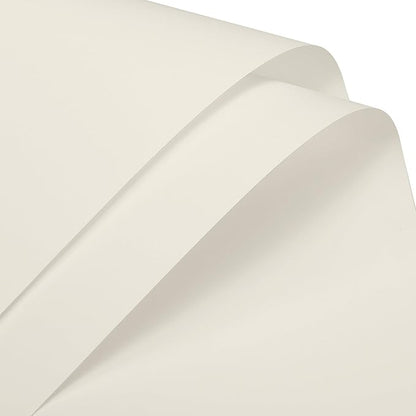 MECCANIXITY Pearlescent Film Flower Wrapping Paper 22.8x22.8 Inch Waterproof for DIY Crafts, Gift/Gift Box Packaging Light Beige Pack of 20