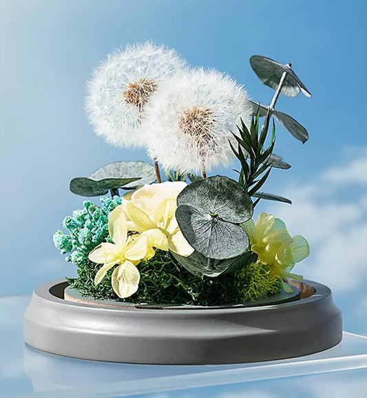 JoyFlower Preserved Dandelion in Glass Dome, Real Dandelion Eternal Flowers Gifts for Women Girlfriend, Preserved Flowers Friendship Birthday Graduation Gifts for Best Friends Sisters Daughter Son