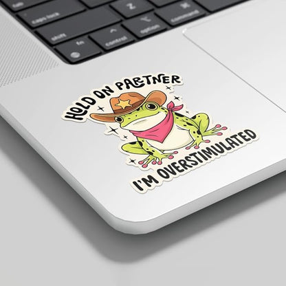 HANDICHI Design 5-Pack 3 Inch Hold On Partner I’m Overstimulated Stickers – Funny Meme Vinyl Decals for Water Bottles, Laptops, Journals, Scrapbooks – Sarcastic Gift for Frog Lovers